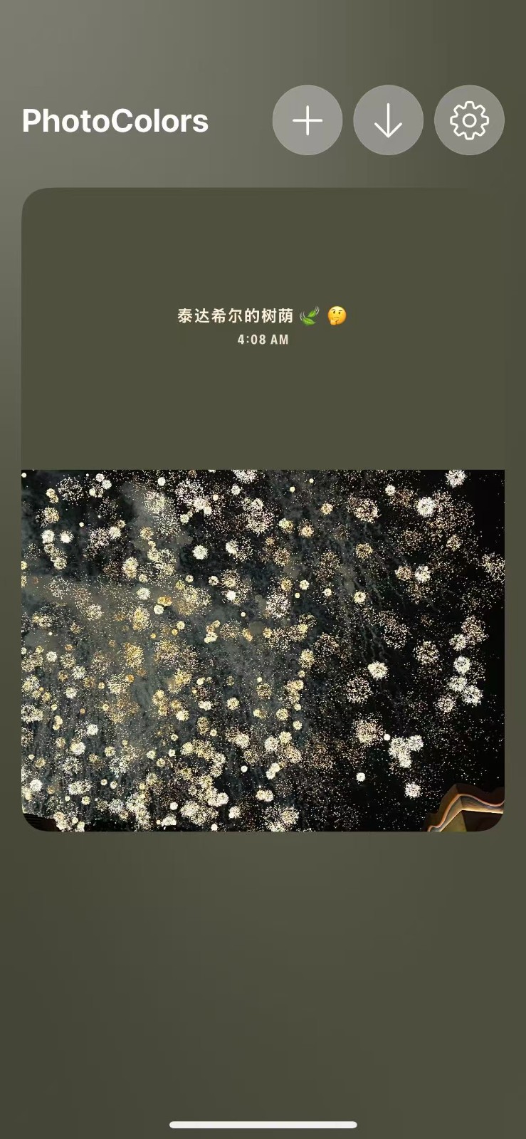 PhotoColors调色盘 截图