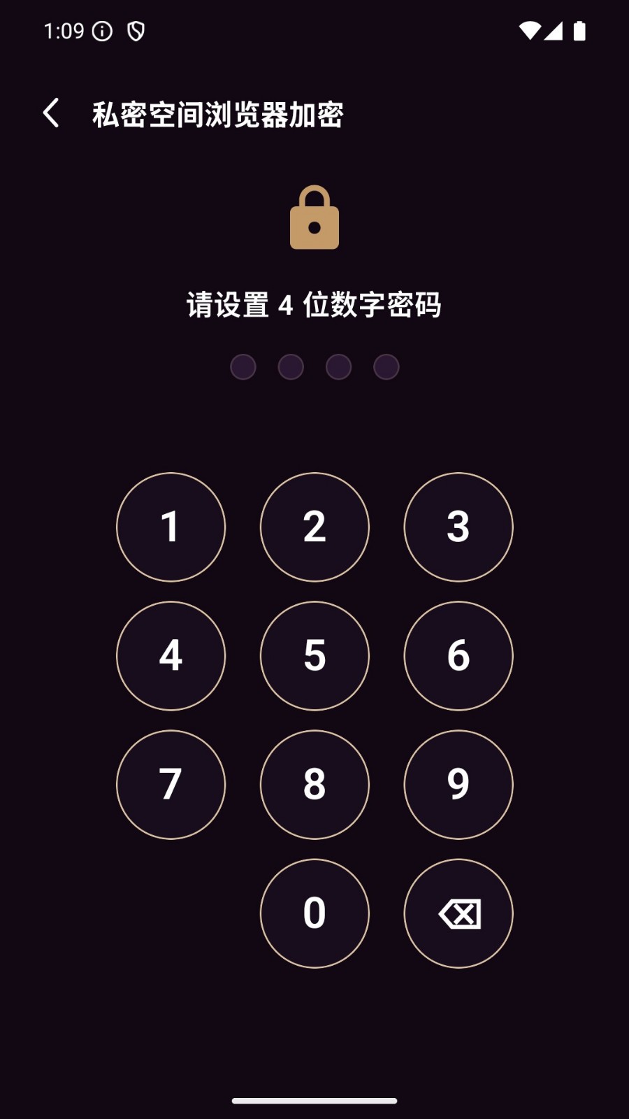 私密空间浏览器 截图