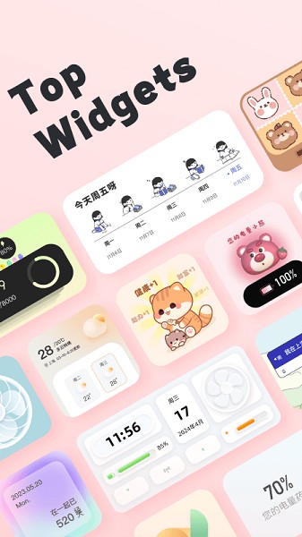 Top Widgets 截图