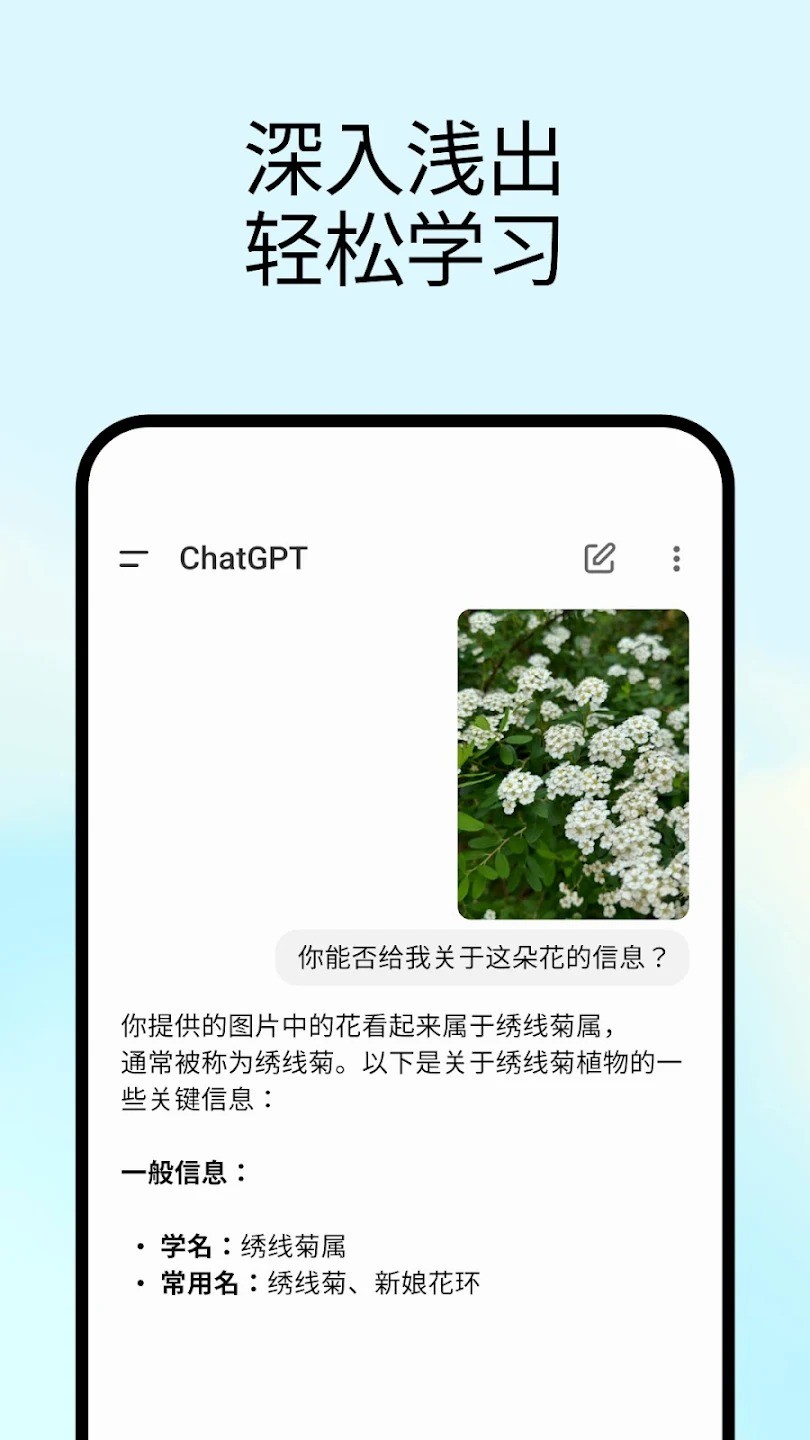 OpenAI 截图